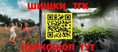 шишки Изобильный