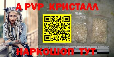 шишки Изобильный