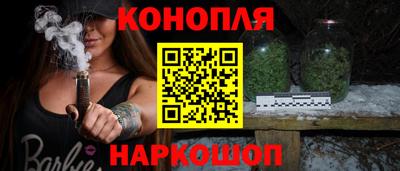 шишки Изобильный
