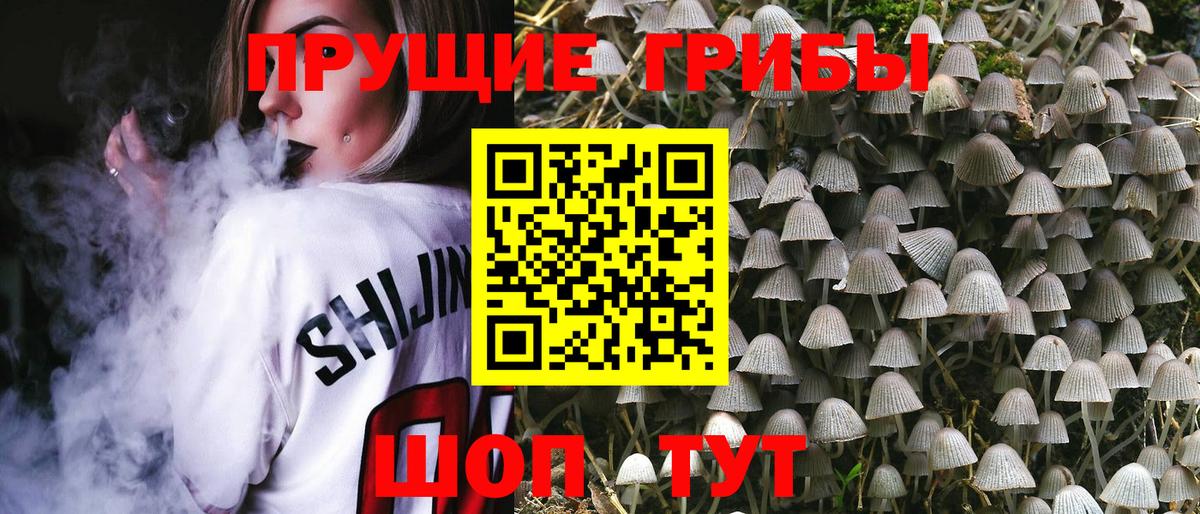 Псилоцибиновые грибы GOLDEN TEACHER  Вход с VPN  Мирный 